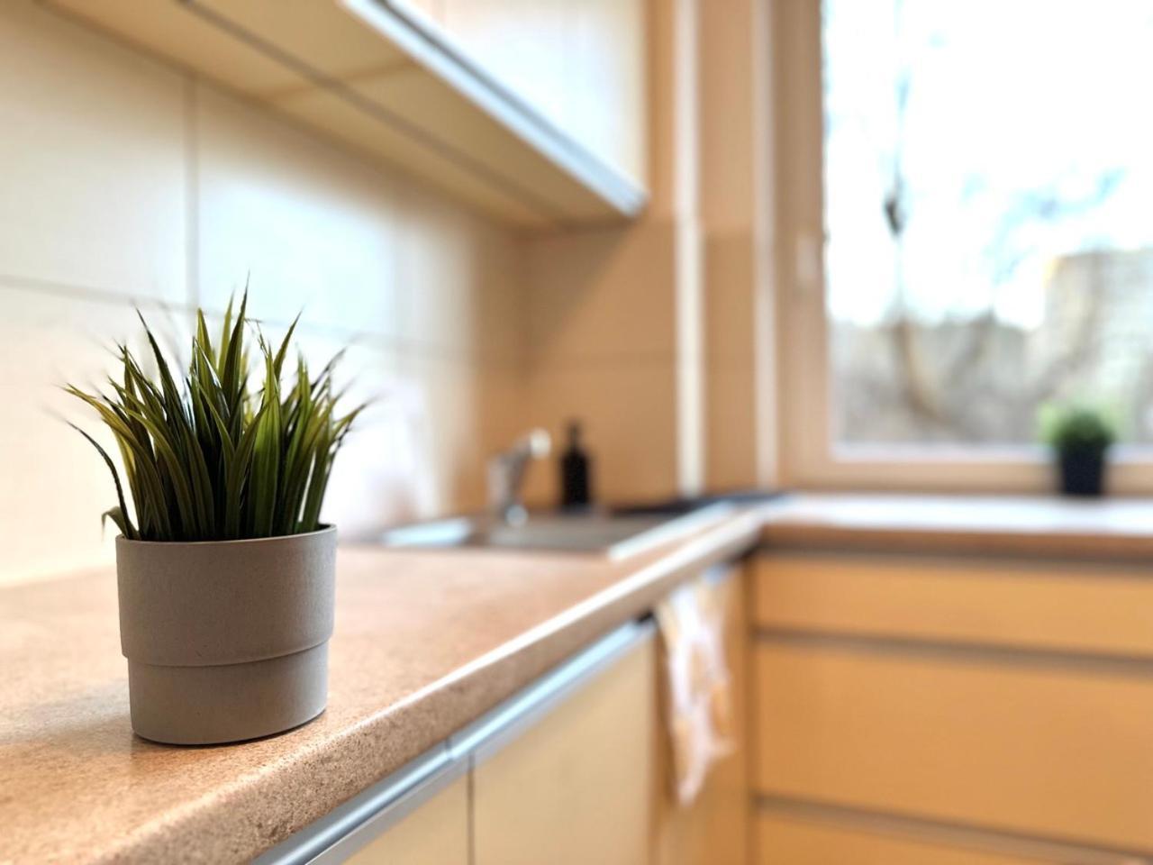 Mmrent Przytulny Apartament W Sopocie Sopot Zewnętrze zdjęcie